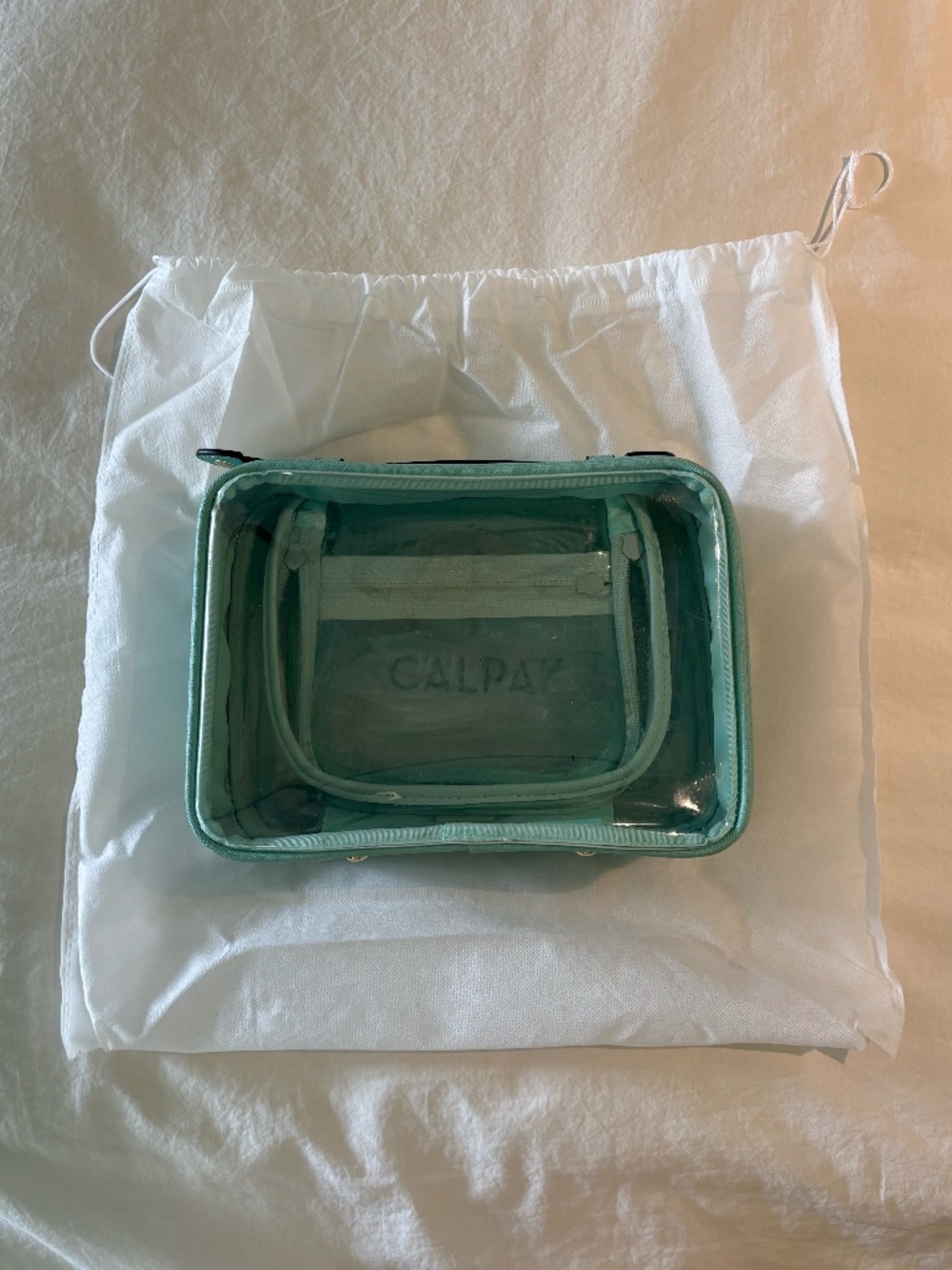 CalPak Medium Clear Cosmetics Case Aqua